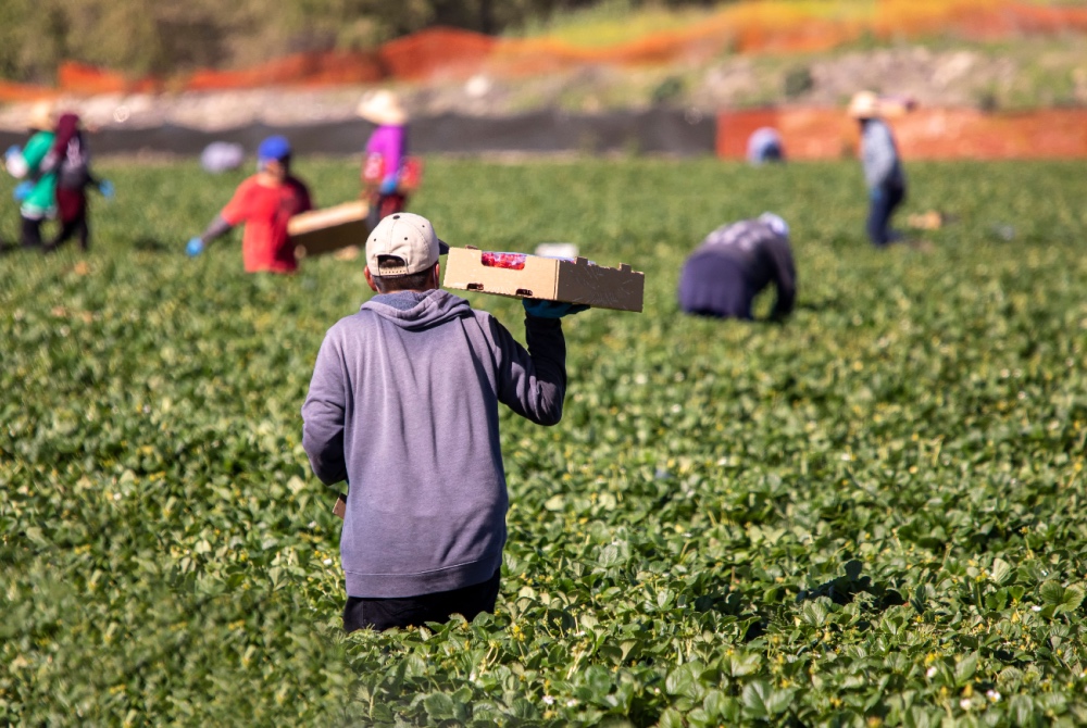Can undocumented workers report wage and hour violations?