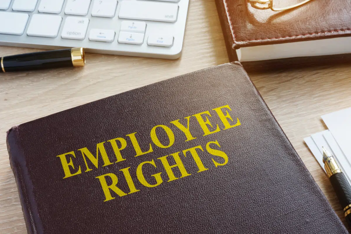 Hali Anderson Talks Workplace Rights on the Partnerships for Profit Podcast